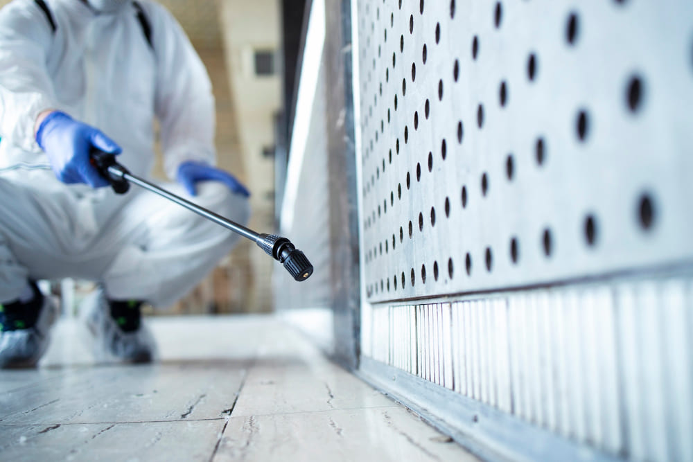 Mold Remediation Services <br />
Air Duct Cleaning Services<br />