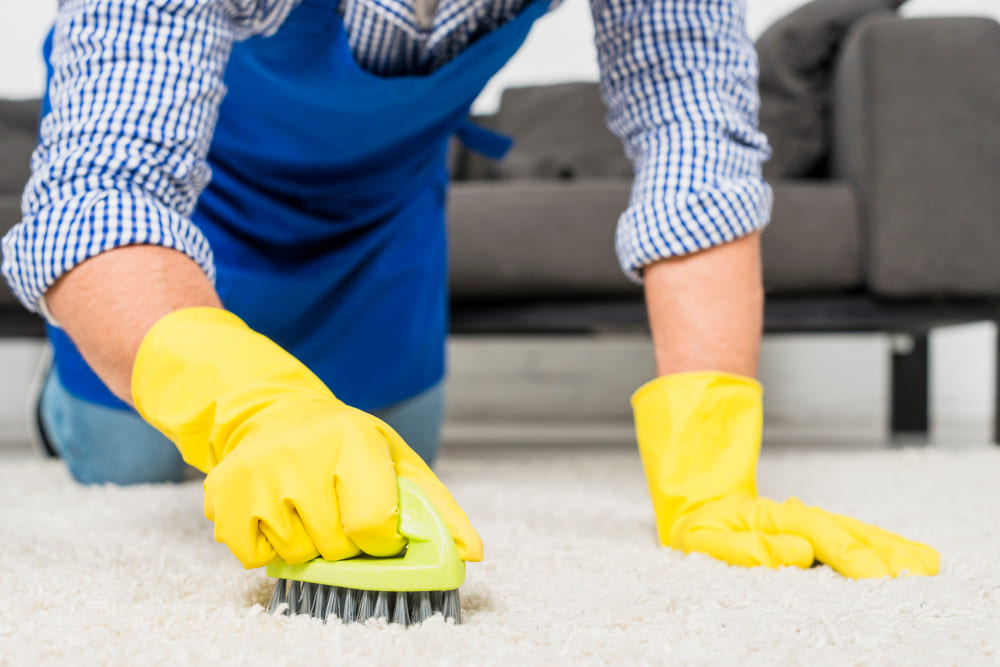 Professional Carpet Cleaning