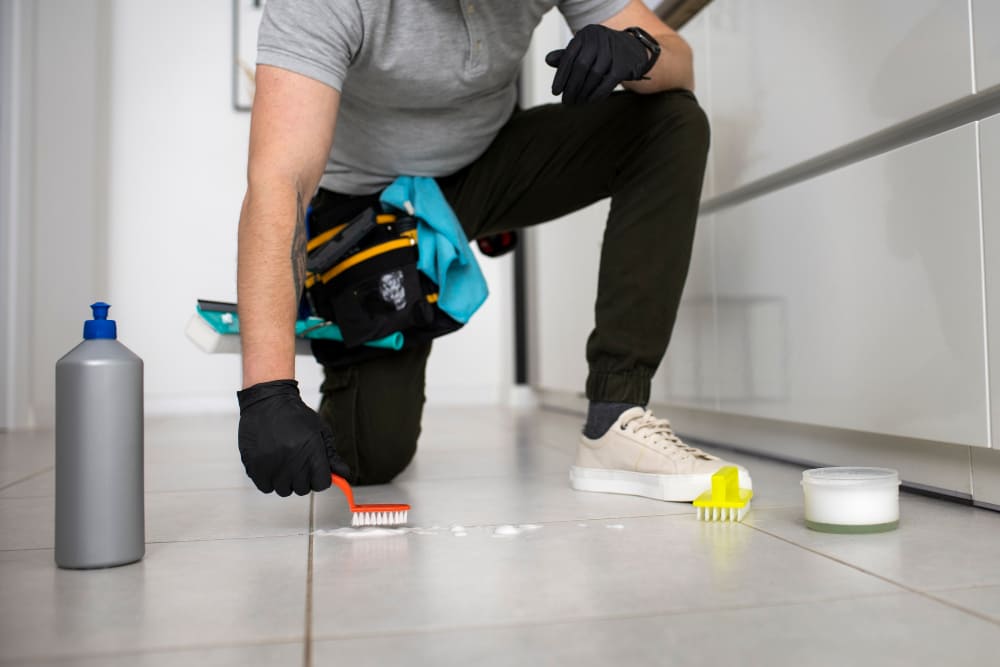 Professional Cleaning