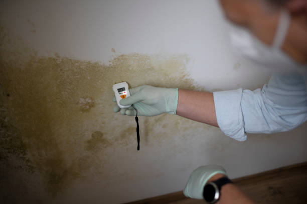mold prevention